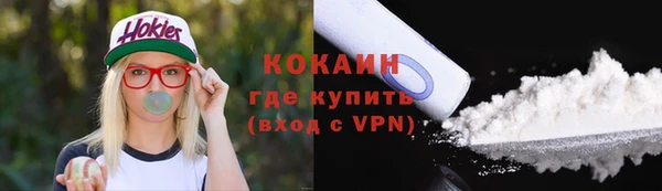 твердый Абаза