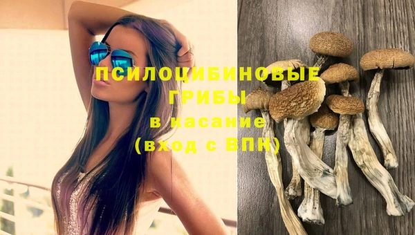 кокаин колумбия Алексин