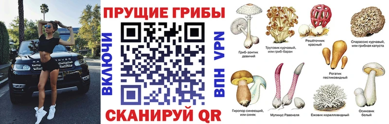 Галлюциногенные грибы MAGIC MUSHROOMS кракен ONION Вилючинск